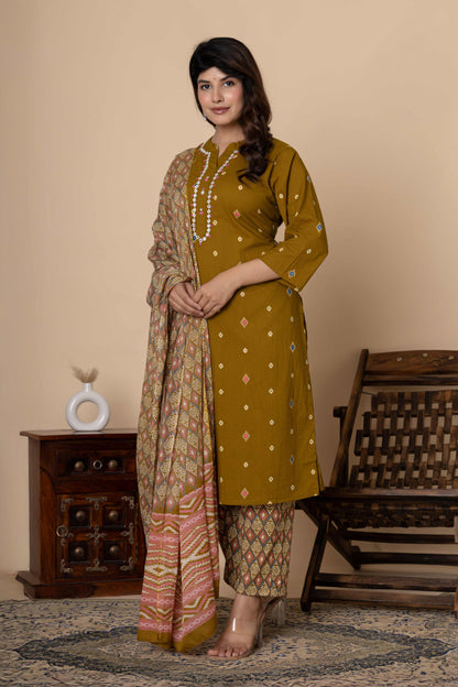 Noor Aura Ikat Fusion Printed Cotton Kurta Set