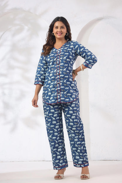 Noor Aura Safari Trail Multicolor Printed Cotton Co-Ord Set with V-neck crop top and wide-leg pants - Karpaa